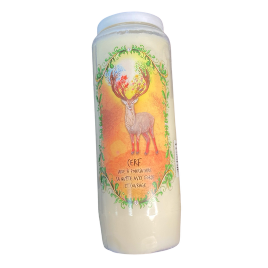 Bougie cerf aide à poursuivre sa quête avec force et courage