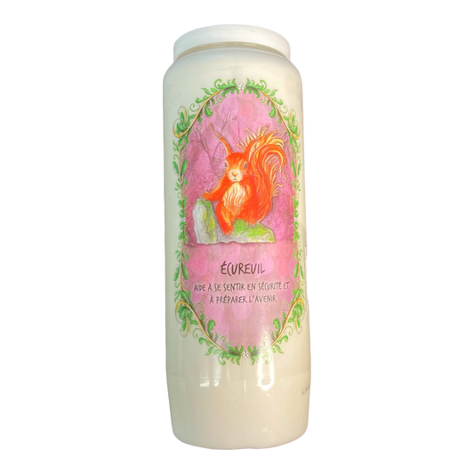 Bougie écureuil aide à se sentir en sécurité et à préparer l'avenir